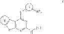 Fig. 156 - IRAK inhibitors and uses thereof