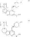 Fig. 159 - IRAK inhibitors and uses thereof