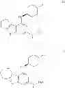 Fig. 16 - IRAK inhibitors and uses thereof