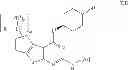 Fig. 19 - IRAK inhibitors and uses thereof