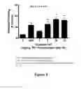 Fig. 05 - Spirolactam derivatives and uses of same