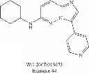 Fig. 89 - Substituted aminoimidazopyridazines