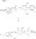 Fig. 07 - Acylaminocycloalkyl compounds suitable for treating disorders that respond to modulation of dopamine D3 receptor