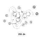 Fig. 04 - Methods of targeted drug development
