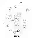 Fig. 06 - Methods of targeted drug development