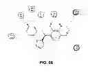 Fig. 08 - Methods of targeted drug development