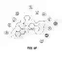 Fig. 09 - Methods of targeted drug development