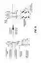 Fig. 15 - Methods of targeted drug development