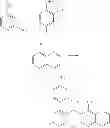 Fig. 455 - Methods of targeted drug development