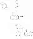 Fig. 480 - Methods of targeted drug development