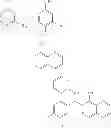 Fig. 486 - Methods of targeted drug development