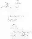Fig. 511 - Methods of targeted drug development