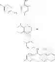 Fig. 538 - Methods of targeted drug development