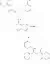 Fig. 548 - Methods of targeted drug development