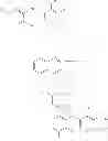 Fig. 573 - Methods of targeted drug development