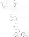 Fig. 575 - Methods of targeted drug development