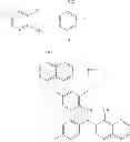 Fig. 588 - Methods of targeted drug development