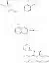 Fig. 601 - Methods of targeted drug development