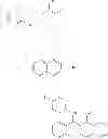 Fig. 604 - Methods of targeted drug development
