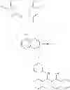 Fig. 606 - Methods of targeted drug development
