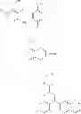 Fig. 634 - Methods of targeted drug development