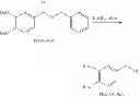 Fig. 08 - Caffeinated compounds and compositions for treatment of amyloid diseases and synucleinopathies