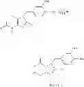Fig. 14 - Caffeinated compounds and compositions for treatment of amyloid diseases and synucleinopathies