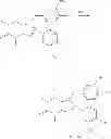 Fig. 16 - Caffeinated compounds and compositions for treatment of amyloid diseases and synucleinopathies