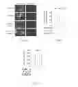 Fig. 03 - Cdc42 Inhibitor and Uses Thereof