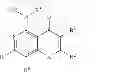 Fig. 03 - α7 nicotinic acetylcholine receptor allosteric modulators, their derivatives and uses thereof