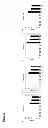 Fig. 02 - PLASMA CELL DISORDERS