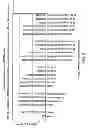 Fig. 08 - KINASE PROTEIN BINDING INHIBITORS