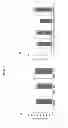 Fig. 08 - COMPOSITIONS AND METHODS FOR TREATING MOOD DISORDERS
