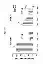 Fig. 11 - COMPOSITIONS AND METHODS FOR TREATING MOOD DISORDERS