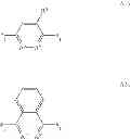 Fig. 06 - METHODS FOR THE CONTROL OF TERMITES AND ANTS
