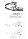 Fig. 17 - Inhibitors for steroid response elements and RNA polymerase II and related methods