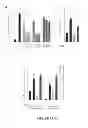 Fig. 20 - Inhibitors for steroid response elements and RNA polymerase II and related methods