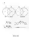 Fig. 23 - Inhibitors for steroid response elements and RNA polymerase II and related methods