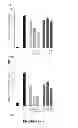 Fig. 25 - Inhibitors for steroid response elements and RNA polymerase II and related methods