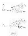 Fig. 28 - Inhibitors for steroid response elements and RNA polymerase II and related methods