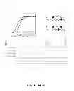 Fig. 34 - Inhibitors for steroid response elements and RNA polymerase II and related methods