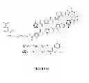 Fig. 37 - Inhibitors for steroid response elements and RNA polymerase II and related methods