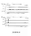 Fig. 38 - Inhibitors for steroid response elements and RNA polymerase II and related methods