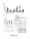 Fig. 41 - Inhibitors for steroid response elements and RNA polymerase II and related methods