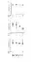 Fig. 47 - Inhibitors for steroid response elements and RNA polymerase II and related methods