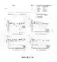 Fig. 49 - Inhibitors for steroid response elements and RNA polymerase II and related methods