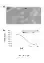 Fig. 52 - Inhibitors for steroid response elements and RNA polymerase II and related methods