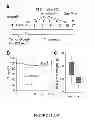 Fig. 54 - Inhibitors for steroid response elements and RNA polymerase II and related methods