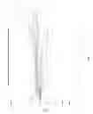 Fig. 28 - Method of Treating Cachexia and Sarcopenia