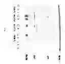 Fig. 02 - Therapeutic agents